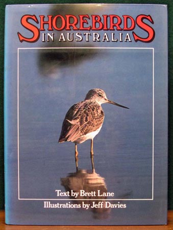 Shorebirds in Australia - Brett Lane