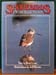 Shorebirds in Australia - Brett Lane