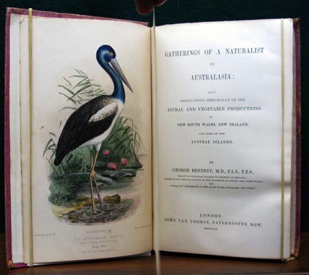 Gatherings of a Naturalist in Australasia - George Bennett - Title Page
