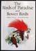 Birds of Paradise and Bower Birds - William T. Cooper & Joseph M. Forshaw