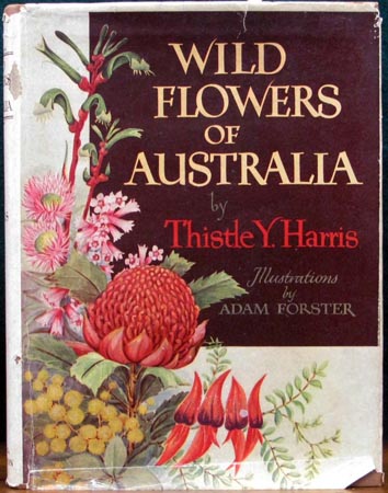 Wild Flowers of Australia - Adam Forster
