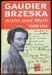 Gaudier Brzeska - Artist and Myth - Roger Cole