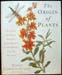Origin of Plants - Maggie Campbell-Culver